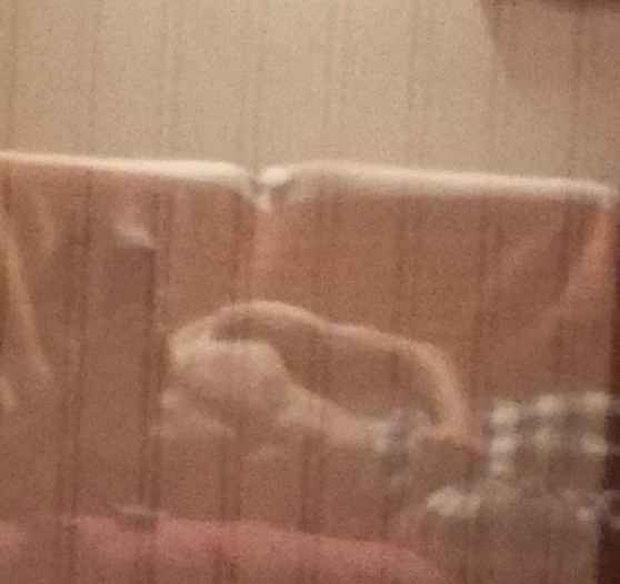 Profil de Yllan, 27 ans, annonces sex à Sarcus
